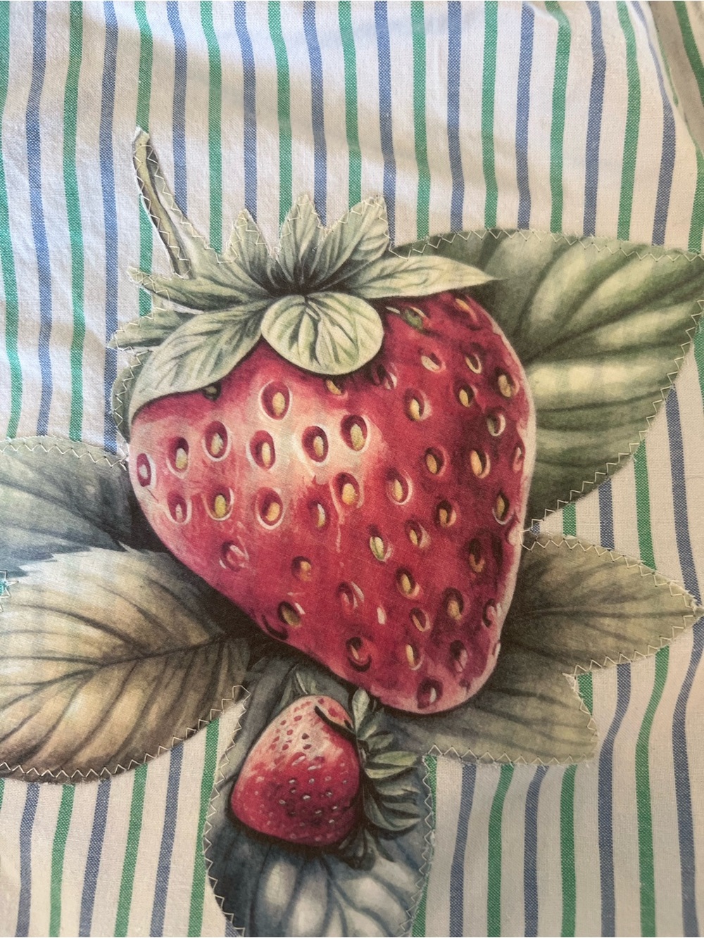 American Eagle Outfitters Green Striped Strawberry Print upcycled boxers - Picture 4 of 5
